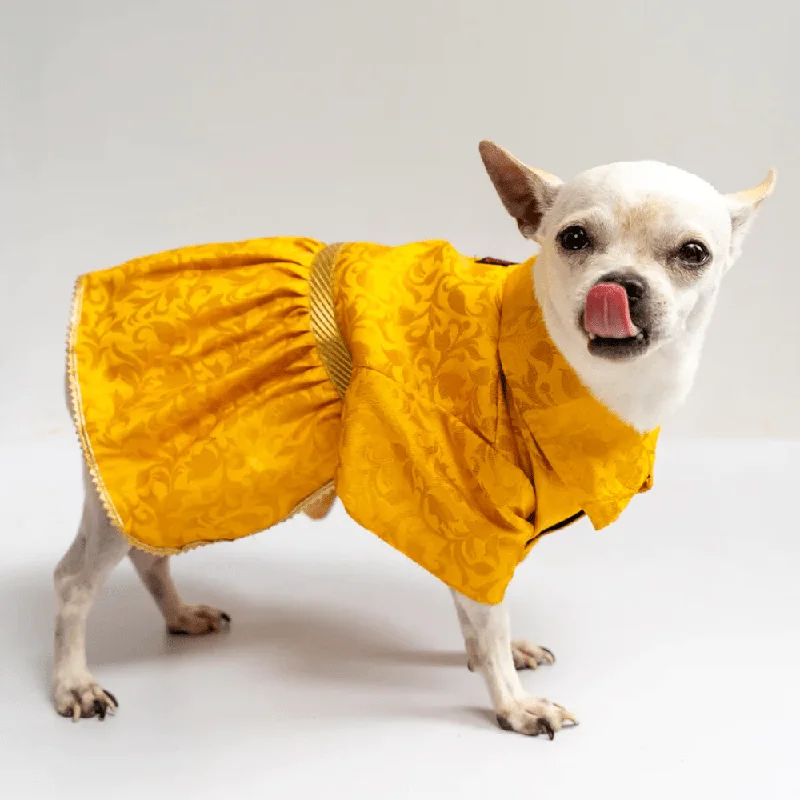 Padded dog face guard-Pawgypets Occasion Wear Dress for Dogs and Cats (Yellow)