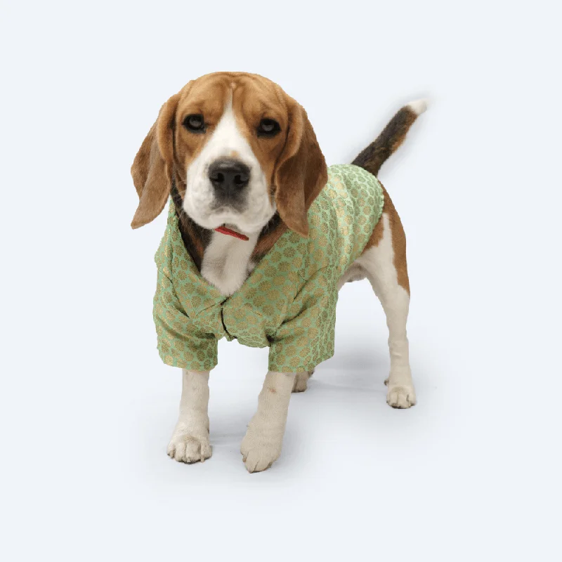 Striped puppy hiking leash-Pawgypets Occasion Wear Shirt for Dogs and Cats (Pista Green)