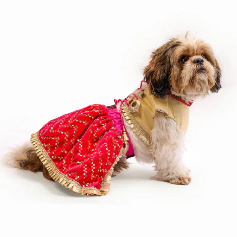 Double-sided pet comb-Pawgypets Velvet Lehenga for Dogs and Cats (Pink/Golden)