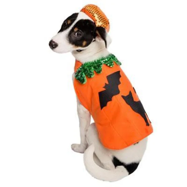 Cotton pet bath towel-Pumpkin Dog Costume