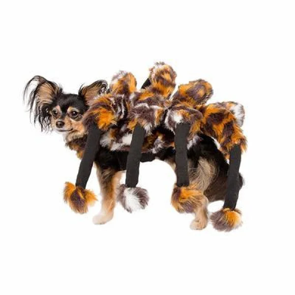 Compact pet water flask-Spider Costume for Dogs